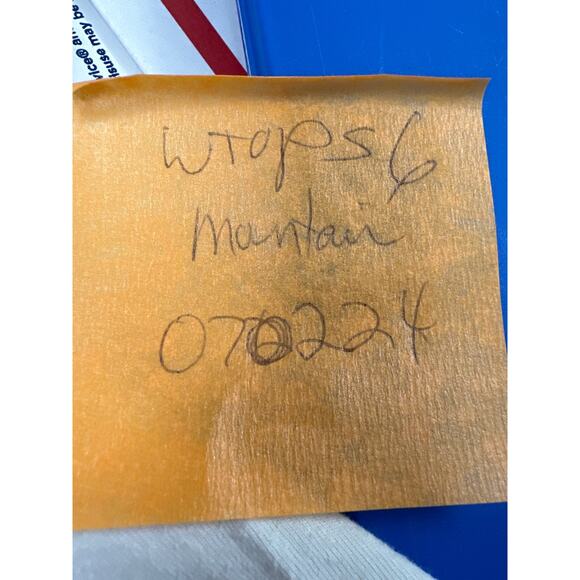 The mountain t-shirt women's size medium horse head profile green 100% cotton - Picture 6 of 7